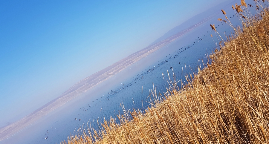 Běžců je hodně, ale Běžců je málo