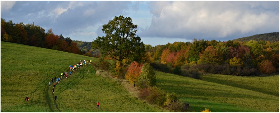 Foto: Miroslav Vlach